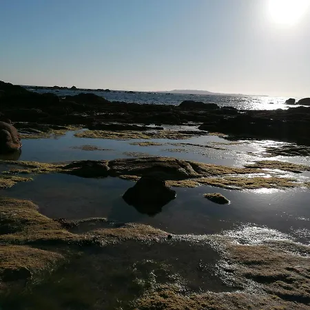 Ay Salvora 아파트 오그로브