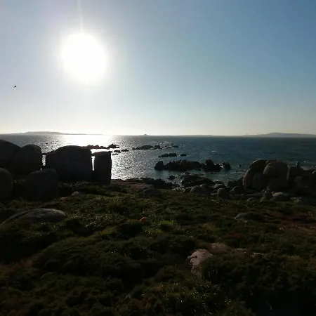 Ay Salvora * 오그로브